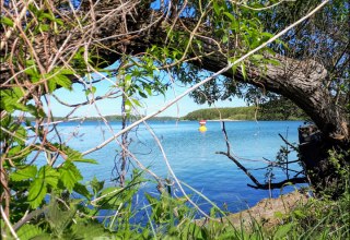 Der Schweriner Innensee // © adfc-Schwerin Der Schweriner Innensee // © adfc-Schwerin