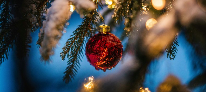 Symbolfoto, © Foto von Silas Baisch auf Unsplash