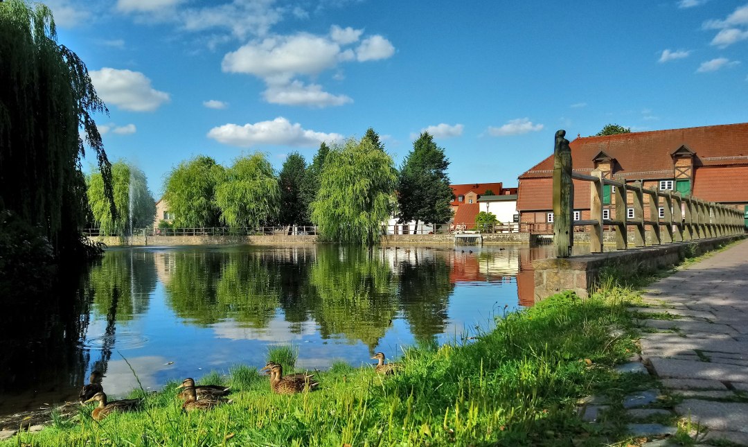 Blick über den Mühlenteich, © Jana Koch Blick über den Mühlenteich, © Jana Koch