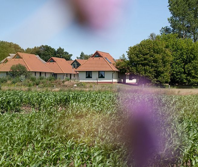Herzlich Willkommen im Jugendtours Feriendorf Ummanz // © Jugendtours-Feriendorf Ummanz/Meixner Herzlich Willkommen im Jugendtours Feriendorf Ummanz // © Jugendtours-Feriendorf Ummanz/Meixner