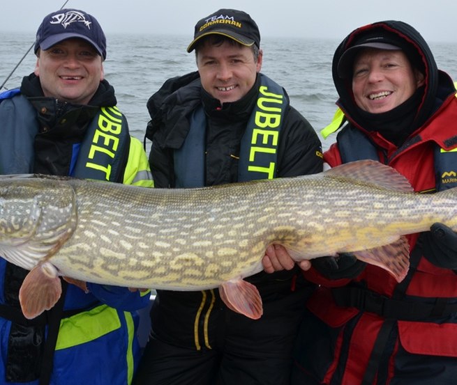 In den Boddengew&auml;ssern sind kapitale Hechte keine Seltenheit // &copy; Guido Jubelt