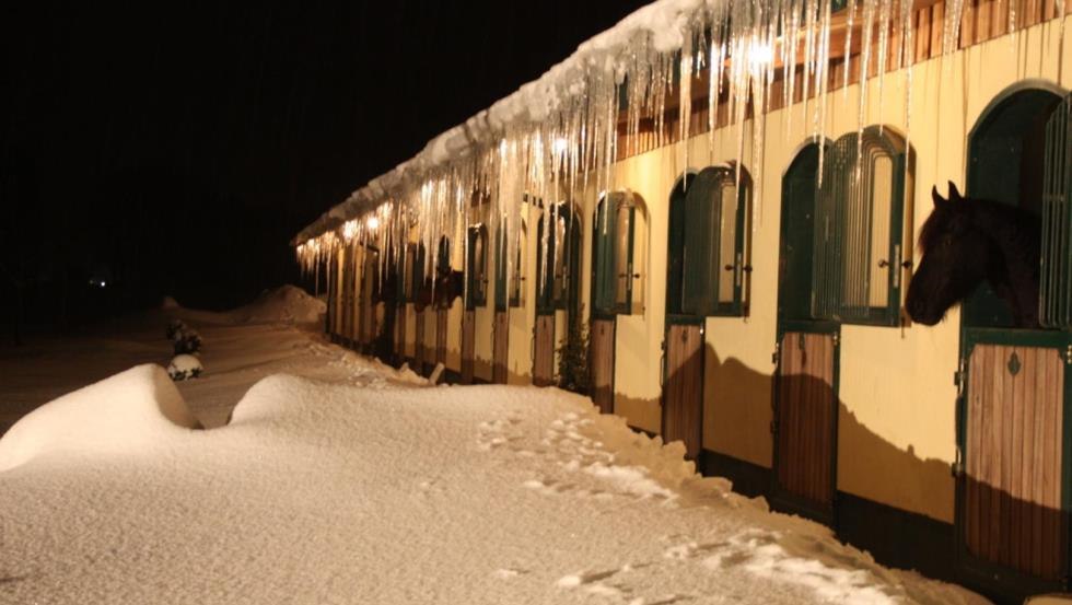 Die Reitanlage Tegelhof im Winterzauber // © Sven C. Arlt Die Reitanlage Tegelhof im Winterzauber // © Sven C. Arlt