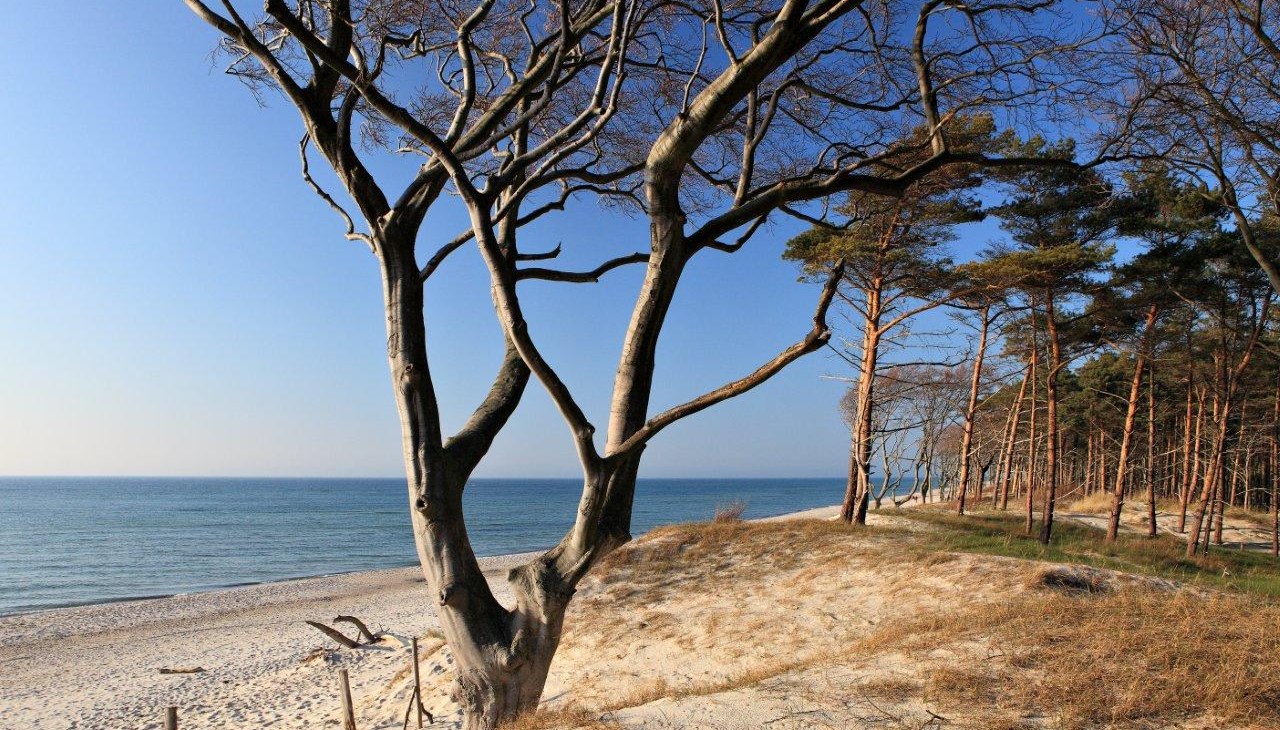 Weststrand, © TV FDZ