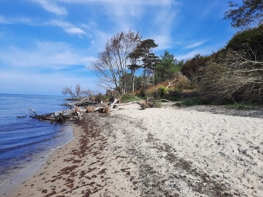 eigenes Foto, © eigenes Foto eigenes Foto, © eigenes Foto