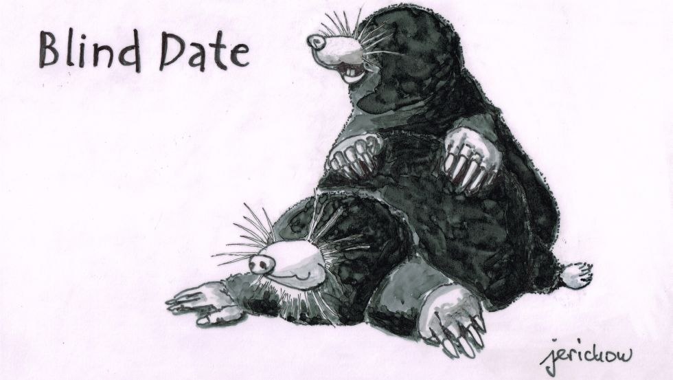 Blind Date - Filzstift auf Transparentpapier, © "jerichow", Ralf Oeynhausen