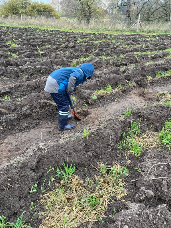 &copy; Landesforst MV