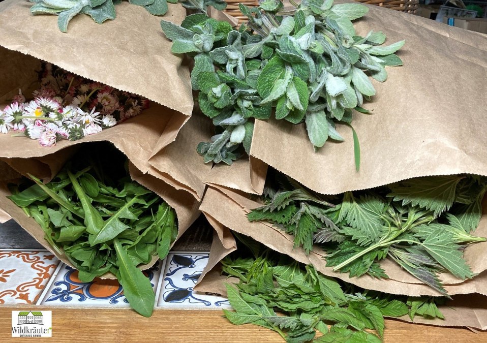 Wildkr&auml;uter, &copy; Jolanta Grenke