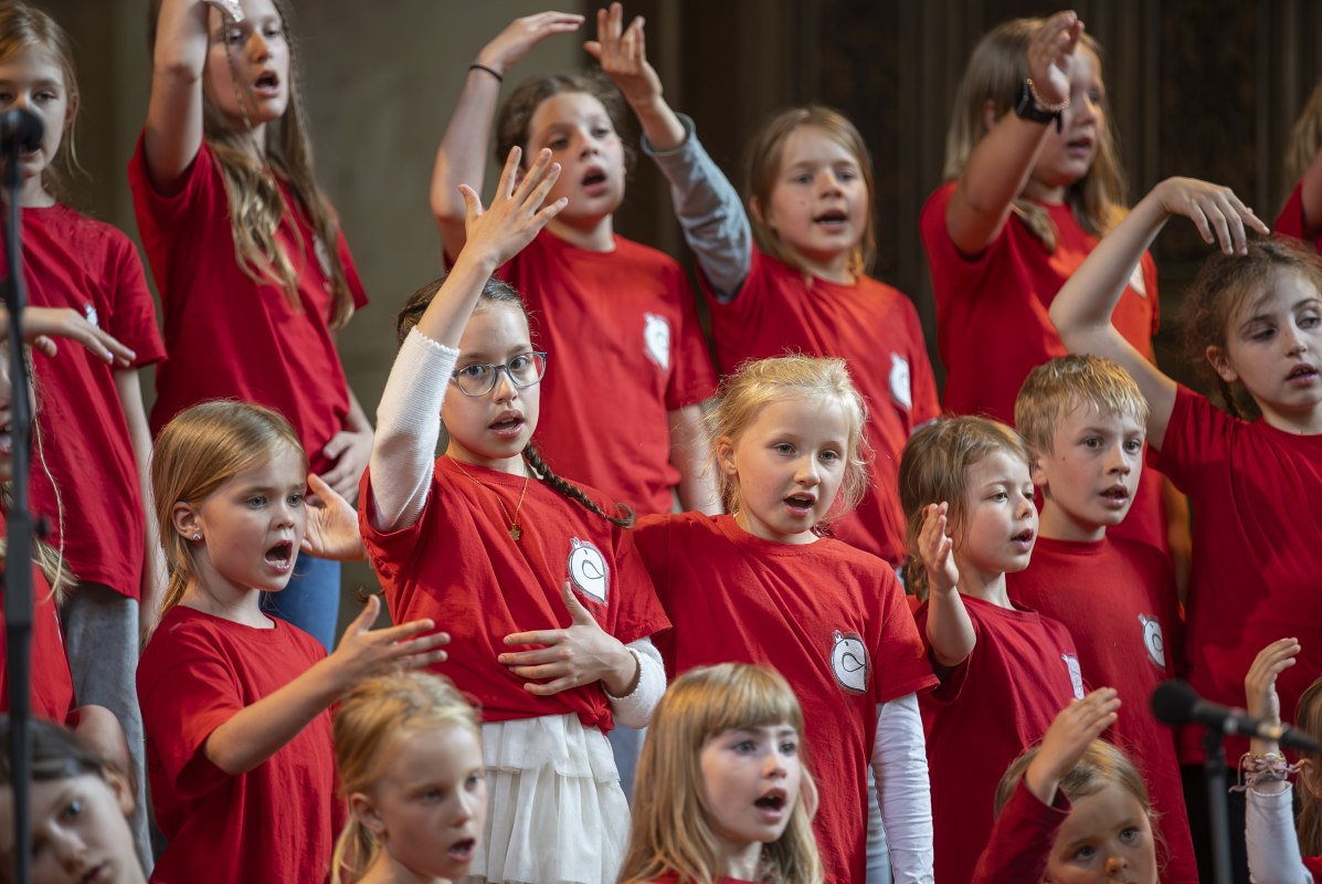 &copy; Geert Maciejewski