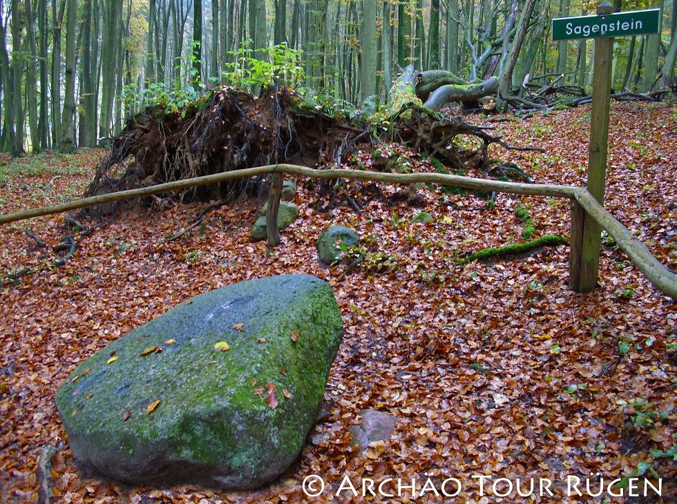 Verborgen in het loofbos ligt de legendarische steen, © Archäo Tour Rügen Verborgen in het loofbos ligt de legendarische steen, © Archäo Tour Rügen