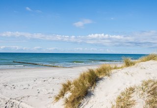 Erleben Sie die Insel Hiddensee bei einem Tagesausflug ab Stralsund. // © Weiße Flotte GmbH Erleben Sie die Insel Hiddensee bei einem Tagesausflug ab Stralsund. // © Weiße Flotte GmbH