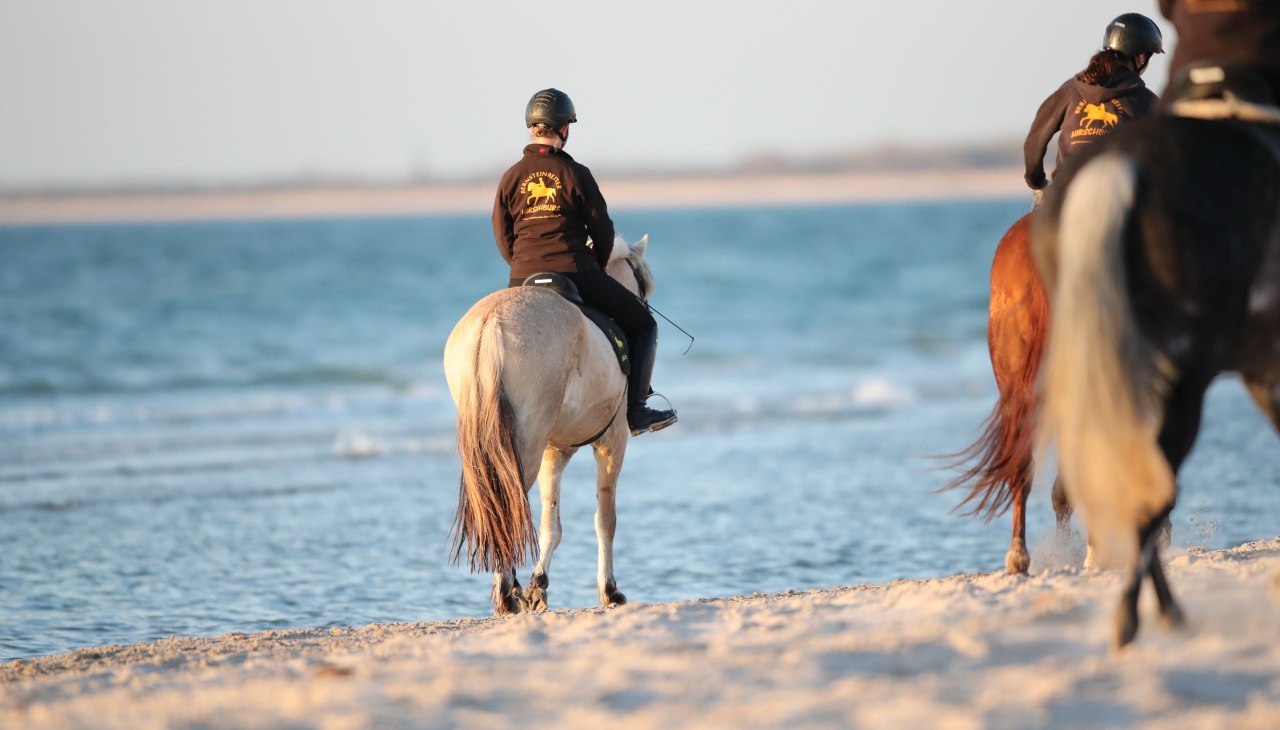 Reiten am Strand, © TMV/ACP Pantel Reiten am Strand, © TMV/ACP Pantel