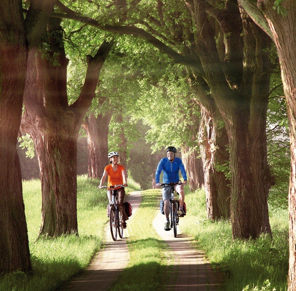 Radeln auf der Allee // © MV-T/outdoor-visions.com Radeln auf der Allee // © MV-T/outdoor-visions.com
