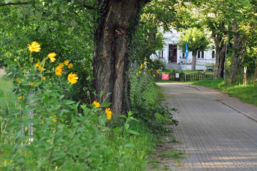 Ein lauschiges Pl&auml;tzchen... Wer mit dem Fahrrad von Barth nach Stralsund oder umgekehrt unterwegs ist, kommt gar nicht an uns vorbei., &copy; Christa Dregger