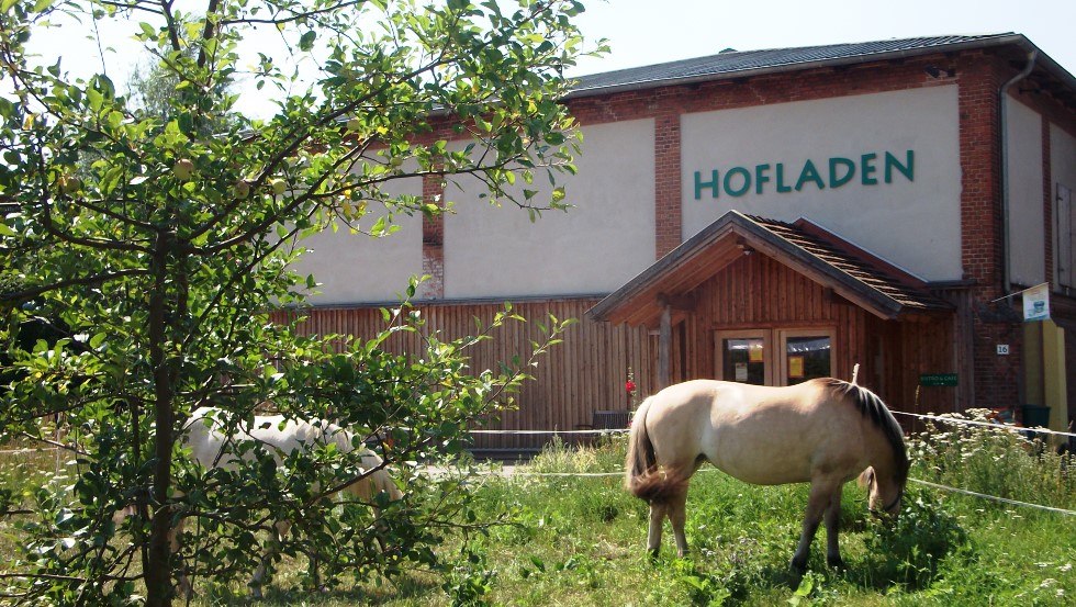 Blick auf den Hof Medewege mit Hofladen, Hofcafé und Bäckerei // © Hofladen Medewege/René Zeitz Blick auf den Hof Medewege mit Hofladen, Hofcafé und Bäckerei // © Hofladen Medewege/René Zeitz