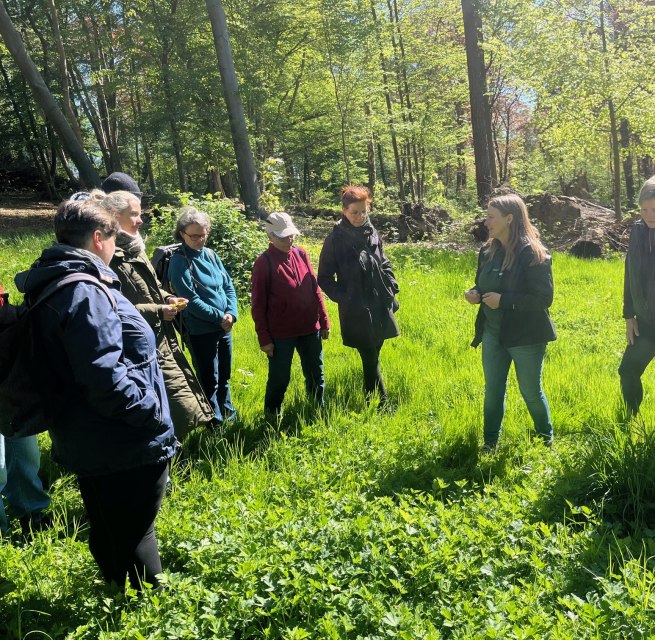 Kr&auml;uterrunde im Wald // &copy; Petra Dittmar