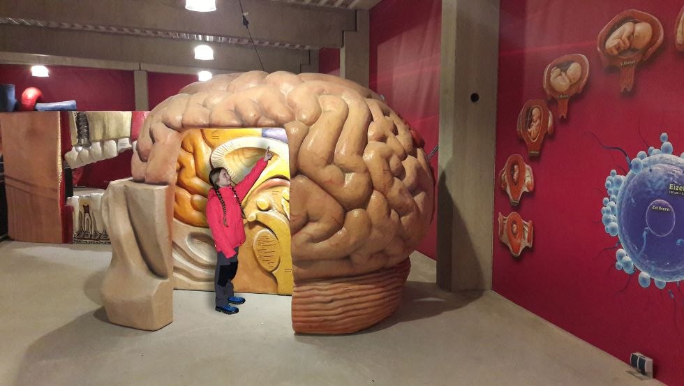 Wissenschaft kinderleicht erkl&auml;rt // &copy; Galileum Fehmarn GmbH