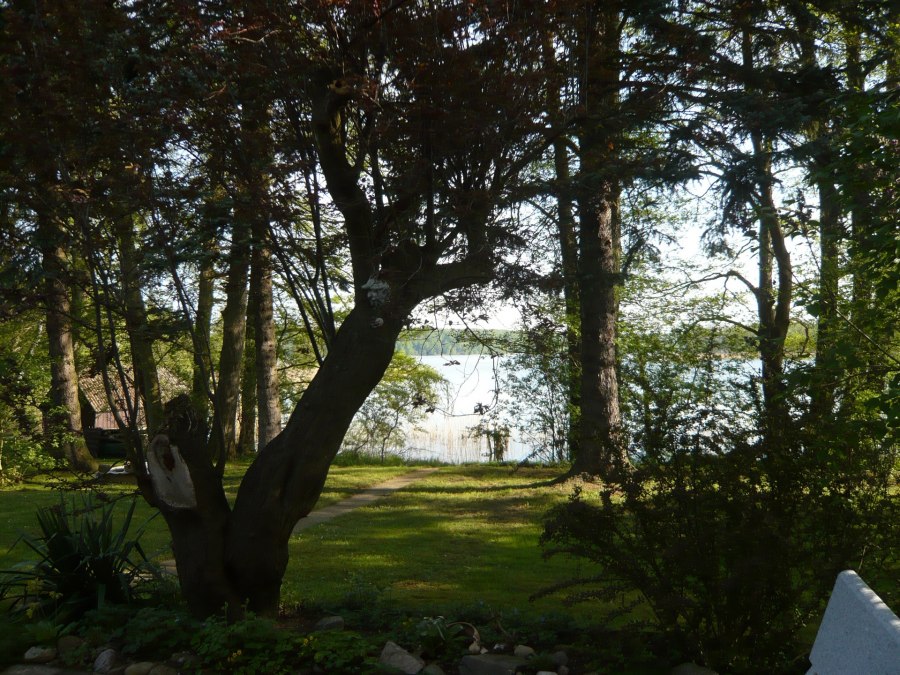 Die Sicht auf den See mit Bootshaus im Hintergrund, © P. Kohlmann Die Sicht auf den See mit Bootshaus im Hintergrund, © P. Kohlmann