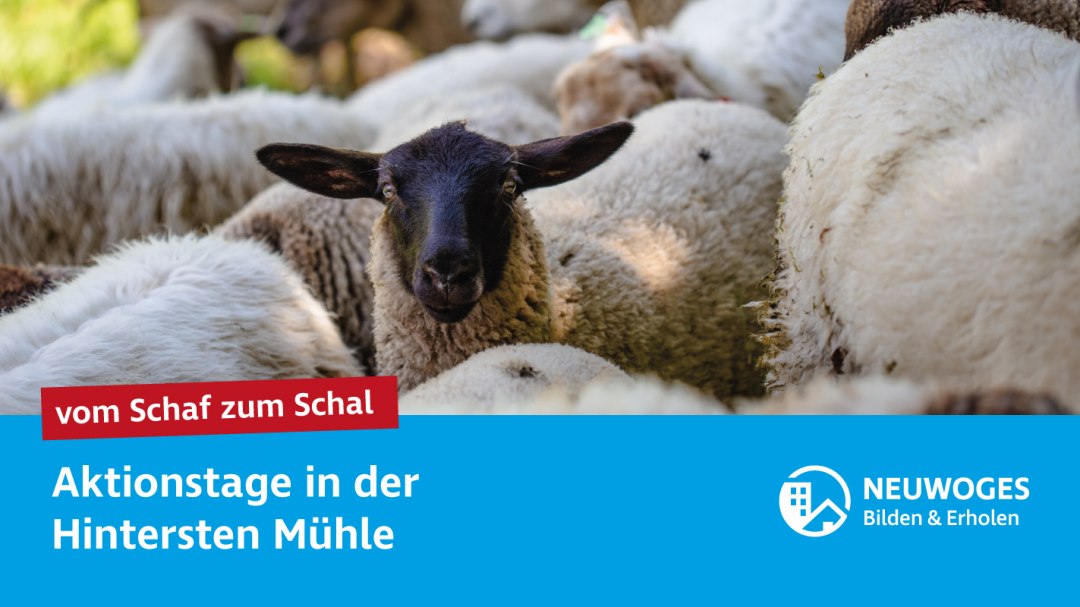 neuw-konzern_externe-komm_tierheim_aktionstage-24-vom-schaf-zum-schal, &copy; Neuwoges