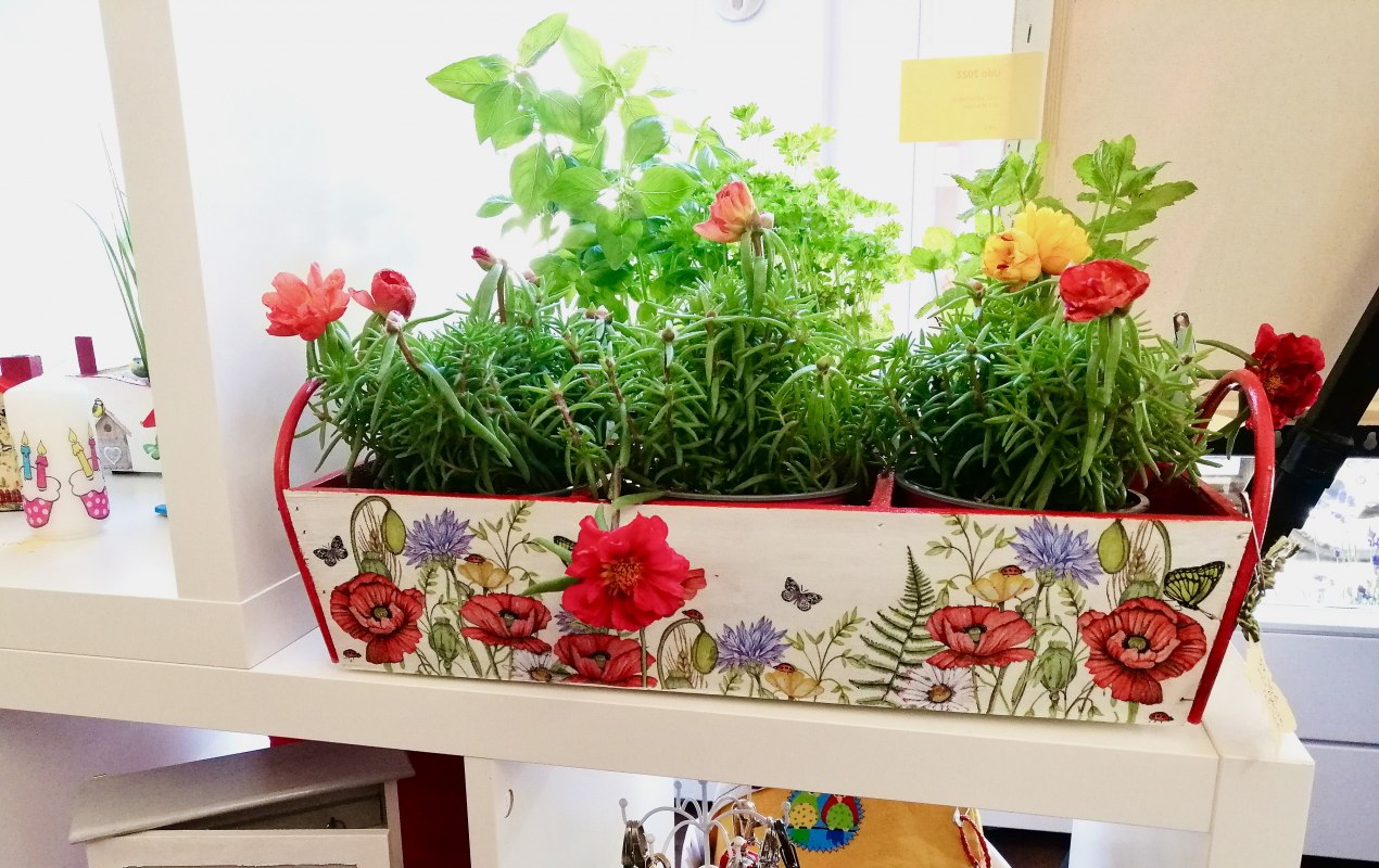 farbenfroh gestalteter Blumenkasten aus Holz // &copy; Ren&eacute; Perkuhn