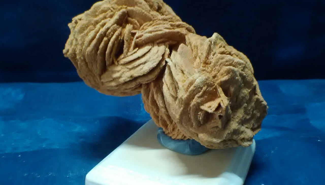 Sandrose aus Rockenberg Hessen, &copy; Peter Ramsch