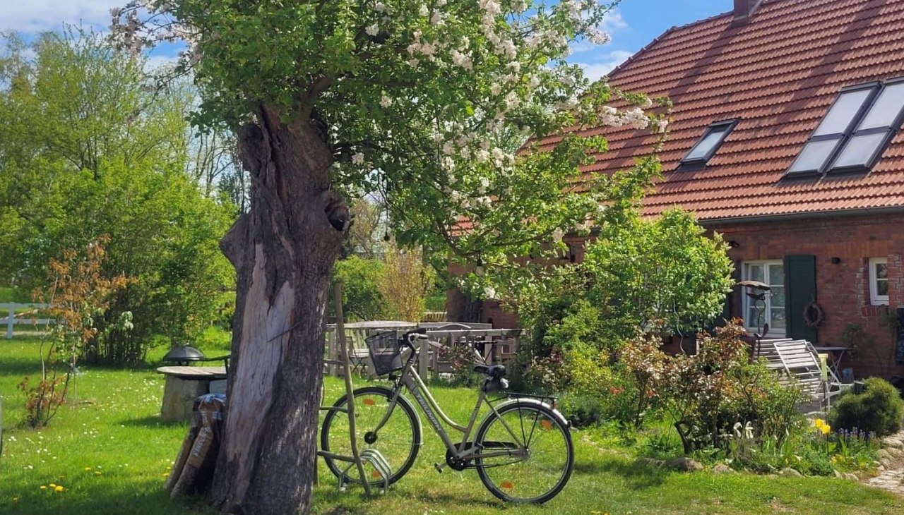 IMG-20230712-WA0019, &copy; Seminar- und Landhotel Sch&ouml;nbeck / Szeszkat