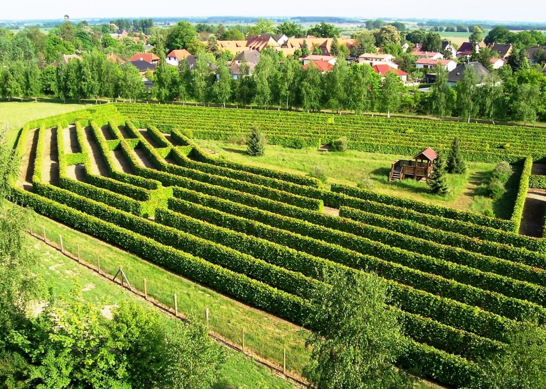 Irrgarten am Waldeck in Dargun // &copy; Stadt Dargun