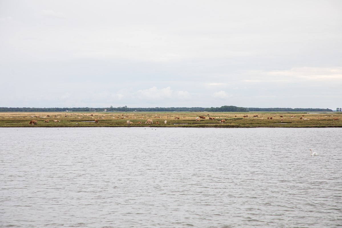 Reederei-Zingst-Oswald-Abendfahrten-005, © Weiße Flotte GmbH Reederei-Zingst-Oswald-Abendfahrten-005, © Weiße Flotte GmbH