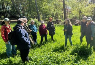 Kr&auml;uterrunde im Wald // &copy; Petra Dittmar