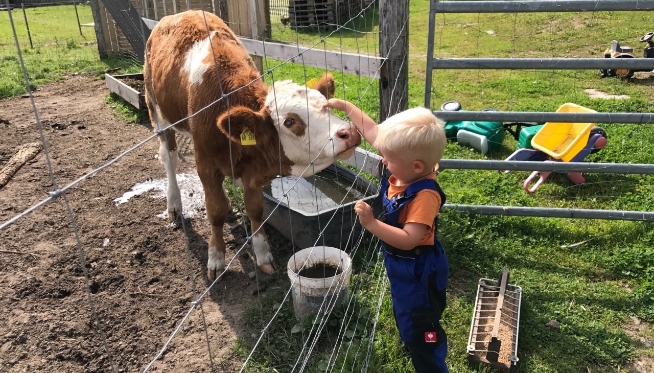 Die kleinen Besucher d&uuml;rfen mich und meine Freunde besuchen, bestaunen, streicheln und nat&uuml;rlich auch f&uuml;ttern, &copy; &copy; Hannas Ranch