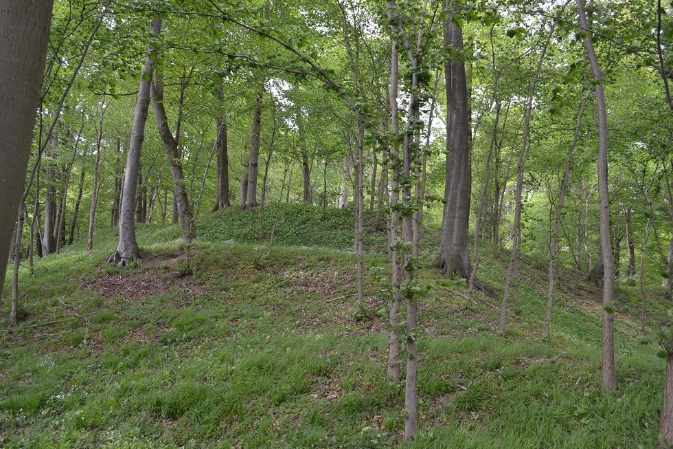 Blick zum Wall., &copy; Lutz Werner