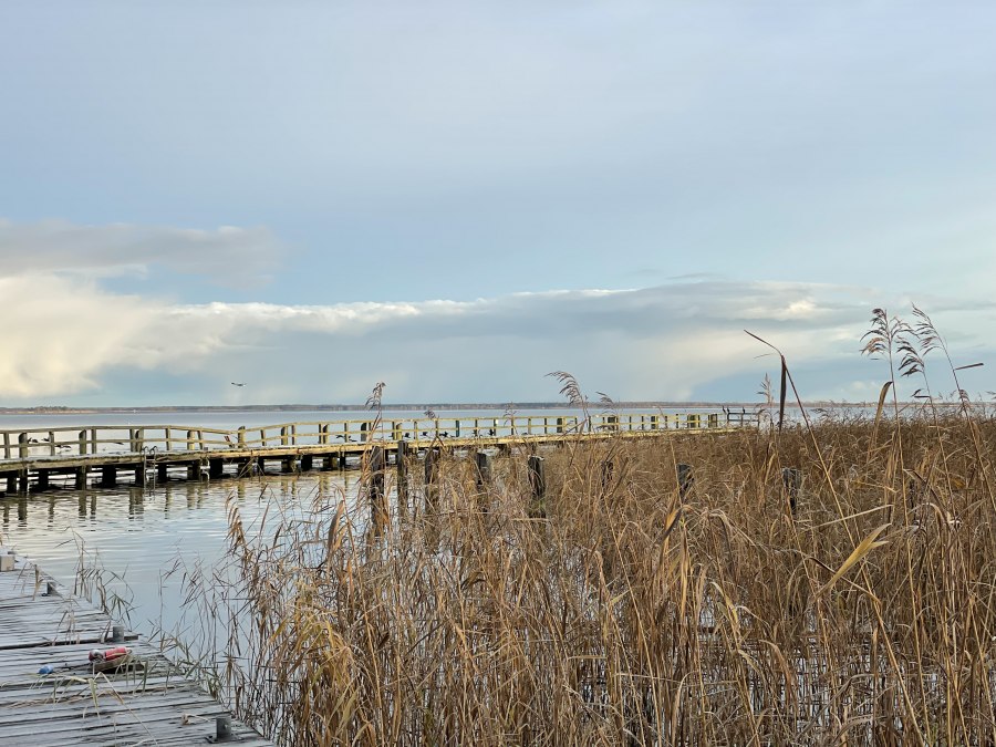 Wasserwanderrastplatz, &copy; TZ S&uuml;dliche Boddenk&uuml;ste