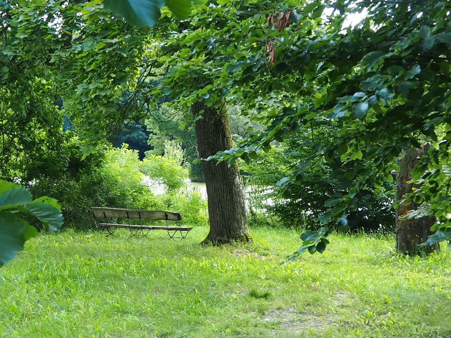 Im Schlosspark Semlow, &copy; Tourismusverein VR/Manuela Steimle