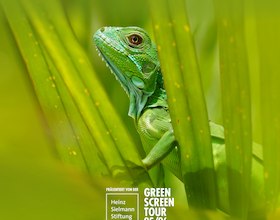 Das aktuelle Green Screen Festivalmotiv // &copy; Dr. Lisa R&ouml;pke