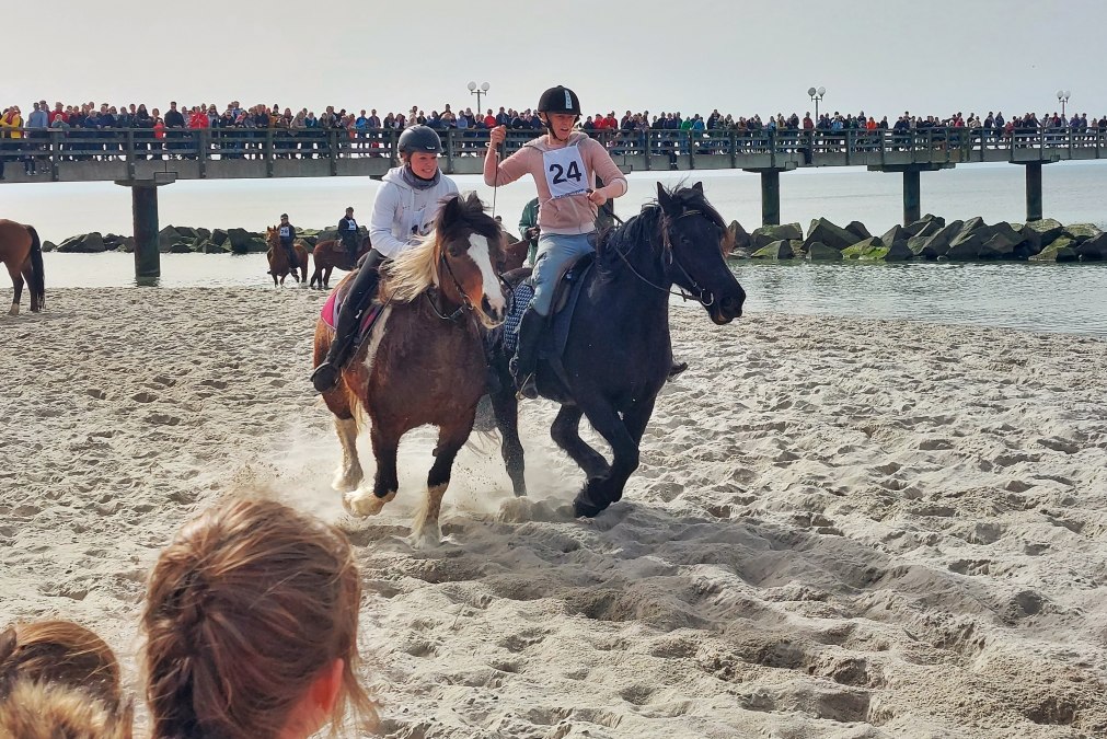 20250419_OstseebadWustrow_Strandgalopprennen_Foto©KevinSchiemann_20240330_140247-02, © Kevin Schiemann / KVW Wustrow 20250419_OstseebadWustrow_Strandgalopprennen_Foto©KevinSchiemann_20240330_140247-02, © Kevin Schiemann / KVW Wustrow