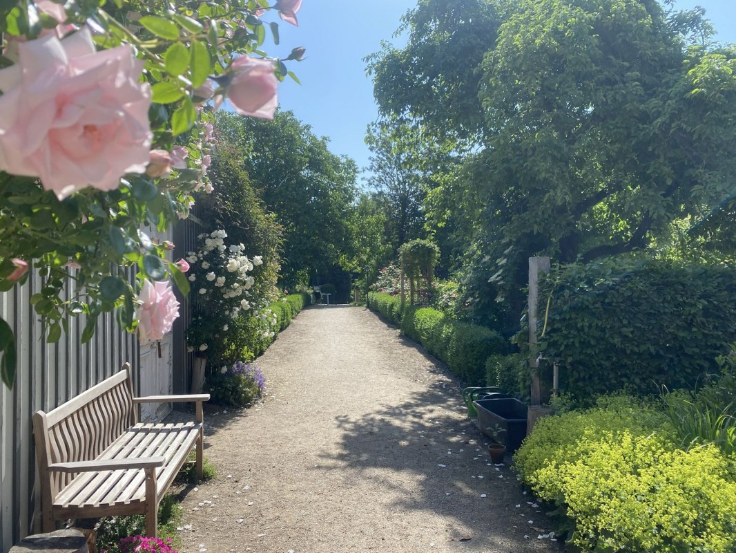 Der Klostergarten öffnet im Juni wieder seine Pforten für alle interessierten Gartenfreunde. // © Kloster Saunstorf Der Klostergarten öffnet im Juni wieder seine Pforten für alle interessierten Gartenfreunde. // © Kloster Saunstorf