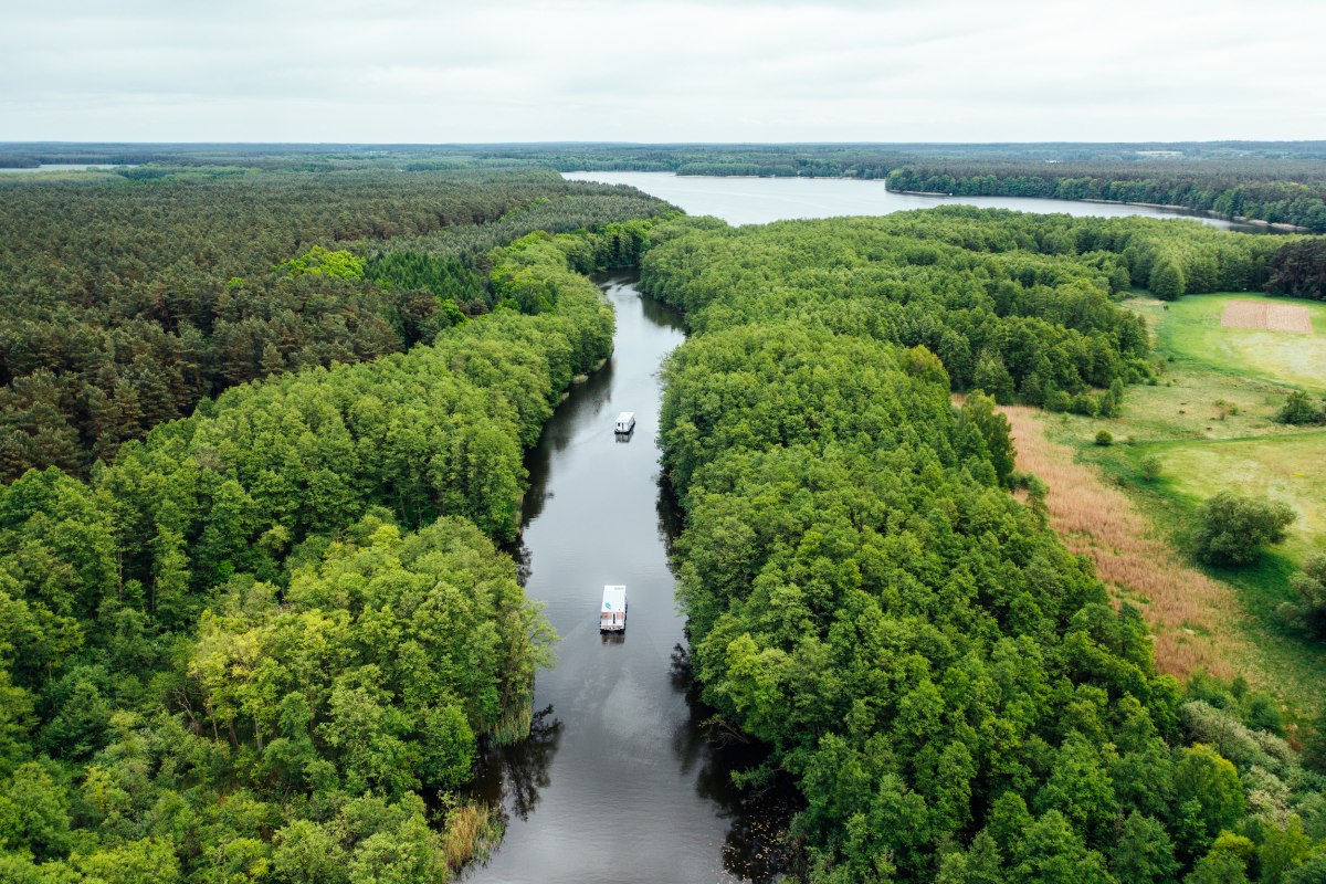 &copy; TMV/G&auml;nsicke