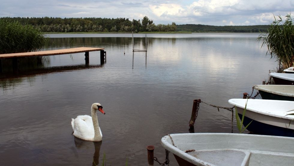 © Naturpark Sternberger Seenland © Naturpark Sternberger Seenland