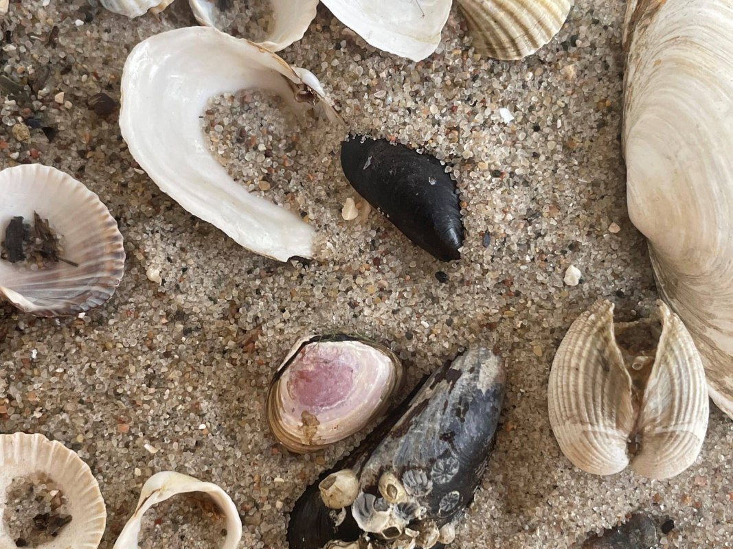 © Erlebnis Akademie AG/NEZR © Erlebnis Akademie AG/NEZR