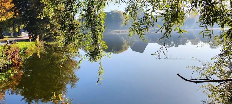 Herbststimmung in den Stralsunder Wallanlagen // &copy; Barbara Hesse