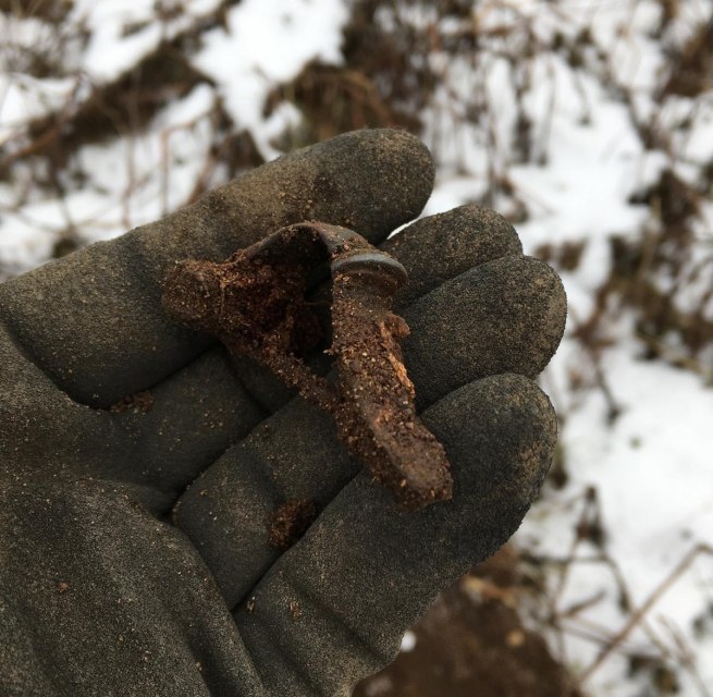 Fundfrisch: Eine neue Fibel aus Badow. // &copy; Foto /Ausschnitt: Olaf Wiegel