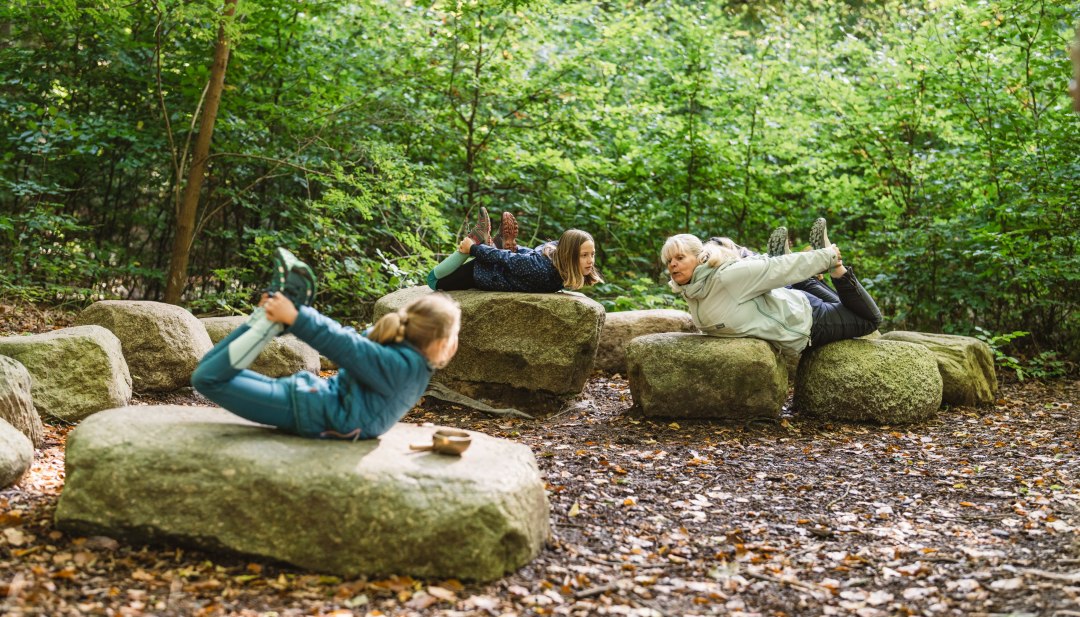 Kinder und ein Erwachsener liegen auf gro&szlig;en Steinen im Wald und machen gemeinsam Yoga-&Uuml;bungen, umgeben von dichten B&auml;umen und Bl&auml;ttern.