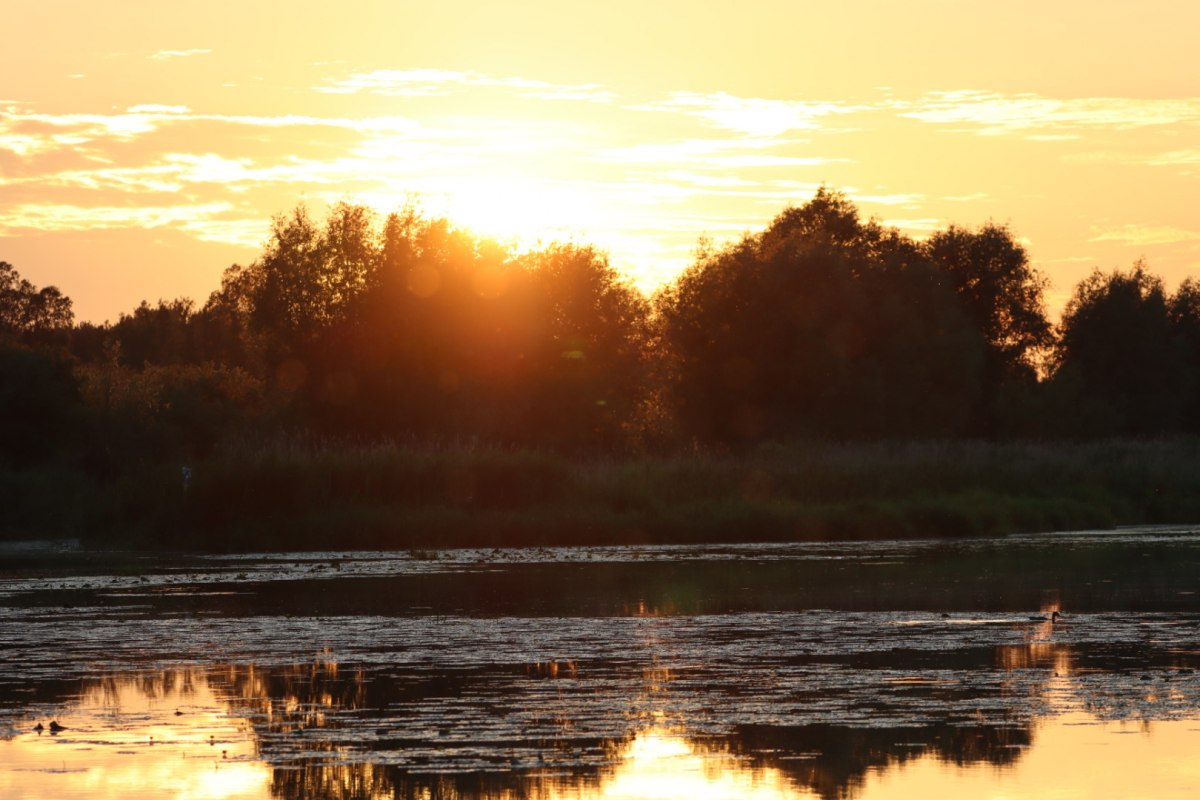 Zonsondergang op de bevertocht // &copy; Corina Posselt