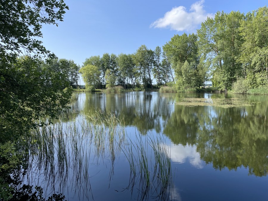Frühling, © TZ Südliche Boddenküste Frühling, © TZ Südliche Boddenküste