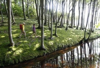 Wanderung durch den K&uuml;stenwald bei Lietzow // &copy; MV-T/outdoor-visions.com