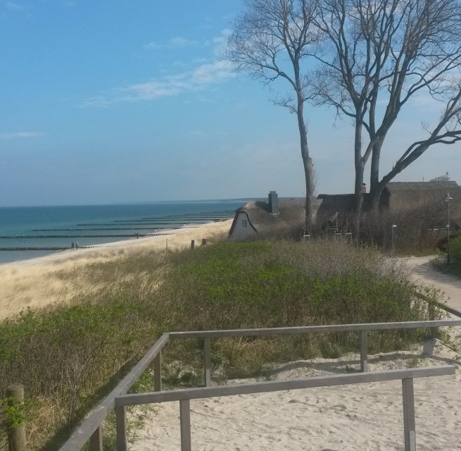 &copy; Jan Dzarnowski