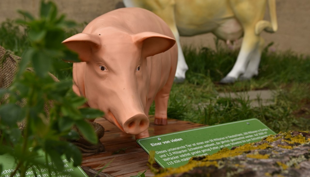 Fleischstation am Weltacker, © Lena Willisch Fleischstation am Weltacker, © Lena Willisch