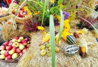 &copy; Stadt Burg Stargard