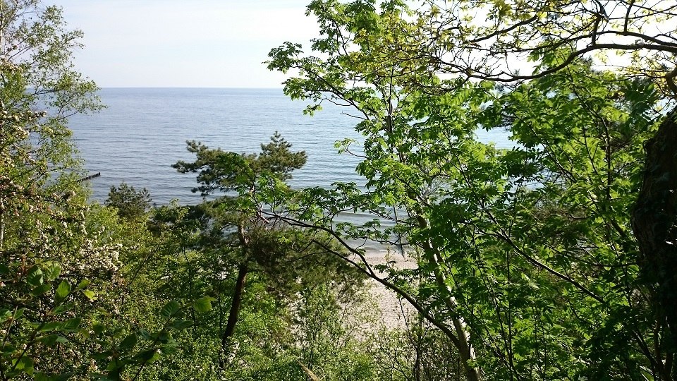 Gef&uuml;hrte Waldwanderung