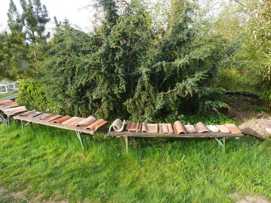 Dachziegel historischer Gebäude, © Haustierpark Rambow / Peter Ramsch Dachziegel historischer Gebäude, © Haustierpark Rambow / Peter Ramsch