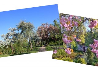 &copy; Backstein-Geist und Garten e.V.